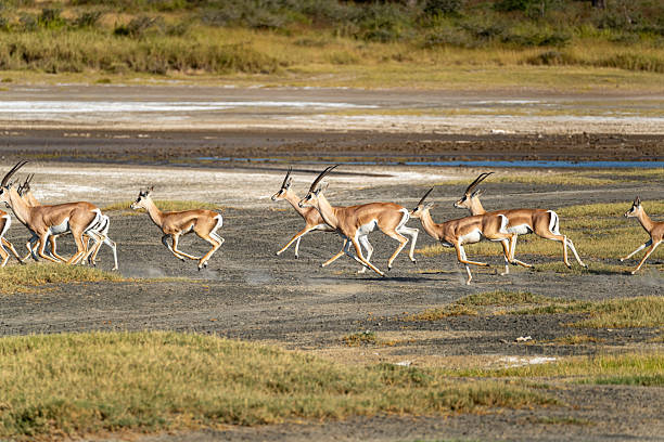  Eco-Friendly Travel in Tanzania 2026–2027 